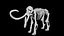 3D Rigged Mammoth skeleton model