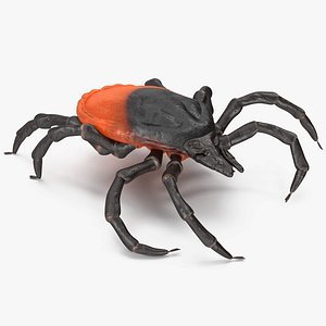 3D Tick Rigged for Modo