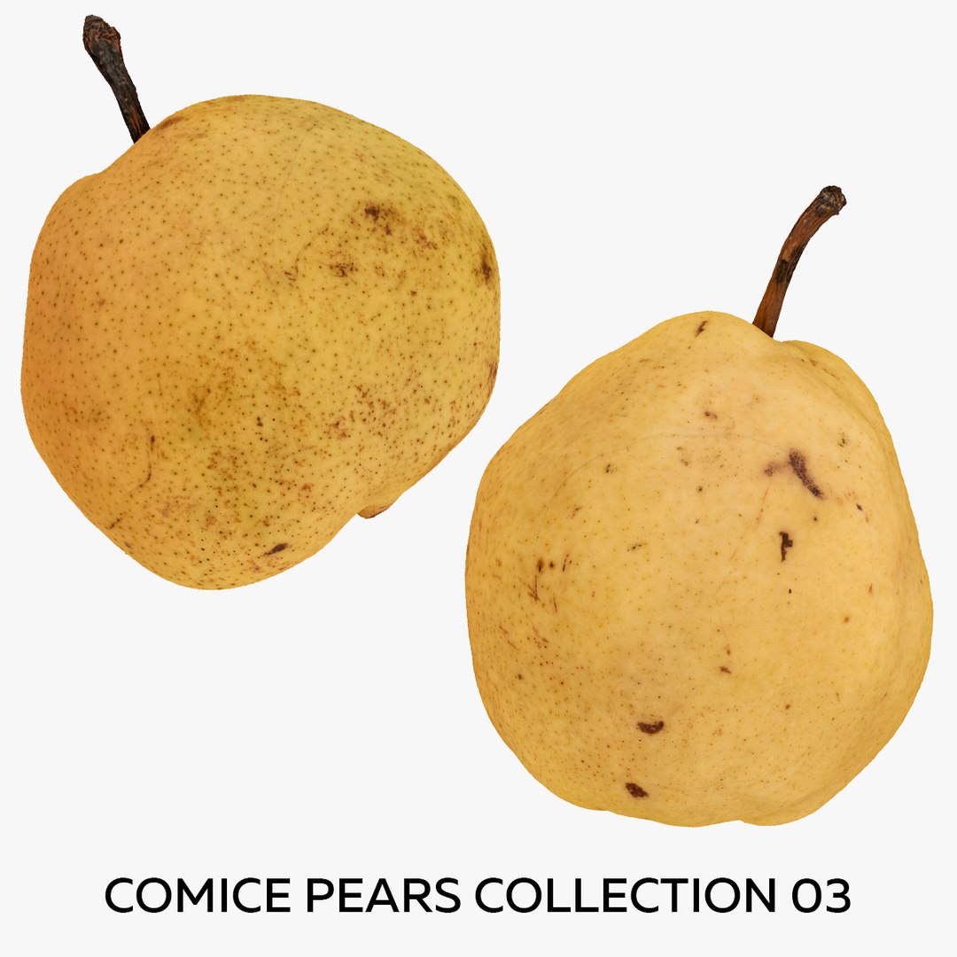 3D Comice Pears Collection 03 - 2 models RAW Scans - TurboSquid 1830499