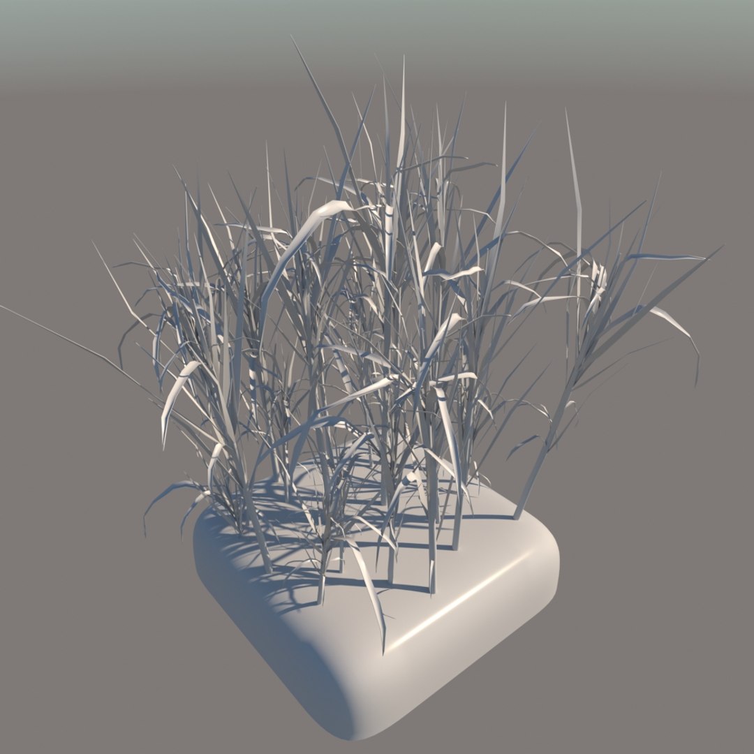 3D model sugar cane https://p.turbosquid.com/ts-thumb/iv/FPrLgO/HTMsTyhy/11/jpg/1574451618/1920x1080/fit_q87/90ab2e24d97cedef38662f931ba26b63acc45865/11.jpg