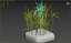 Sugar Cane