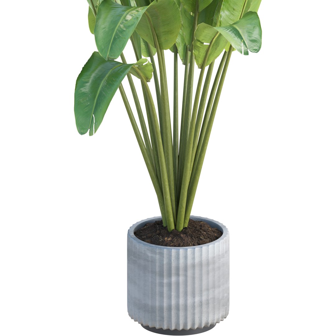 3D Premium Indoor &amp; Outdoor Plant Collection Bundle 100 https://p.turbosquid.com/ts-thumb/iv/FSz7cL/Kc/3/jpg/1758587019/1920x1080/fit_q87/b297ebb6a0c4ea31b45ae66e4449d551920d8e1f/3.jpg