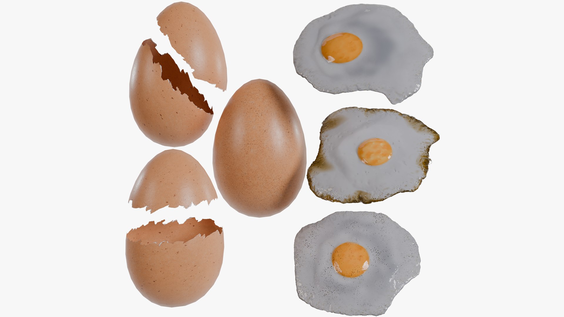 Brown Egg 3D https://p.turbosquid.com/ts-thumb/iv/KMGB0e/3z/browneggrendercg/png/1785524401/1920x1080/fit_q87/2f89b11daed676095c8b66985dc4f89e1b06e27b/browneggrendercg.jpg