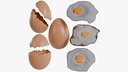Brown Egg