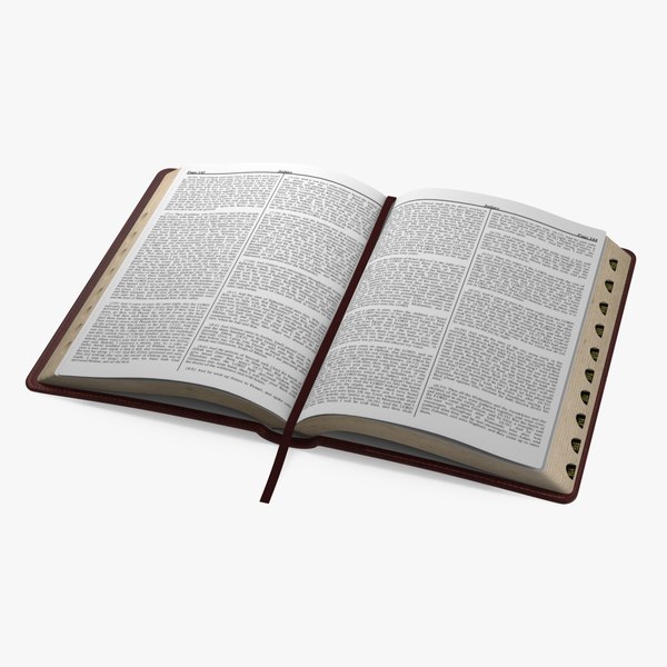 holy bible open book 3D
