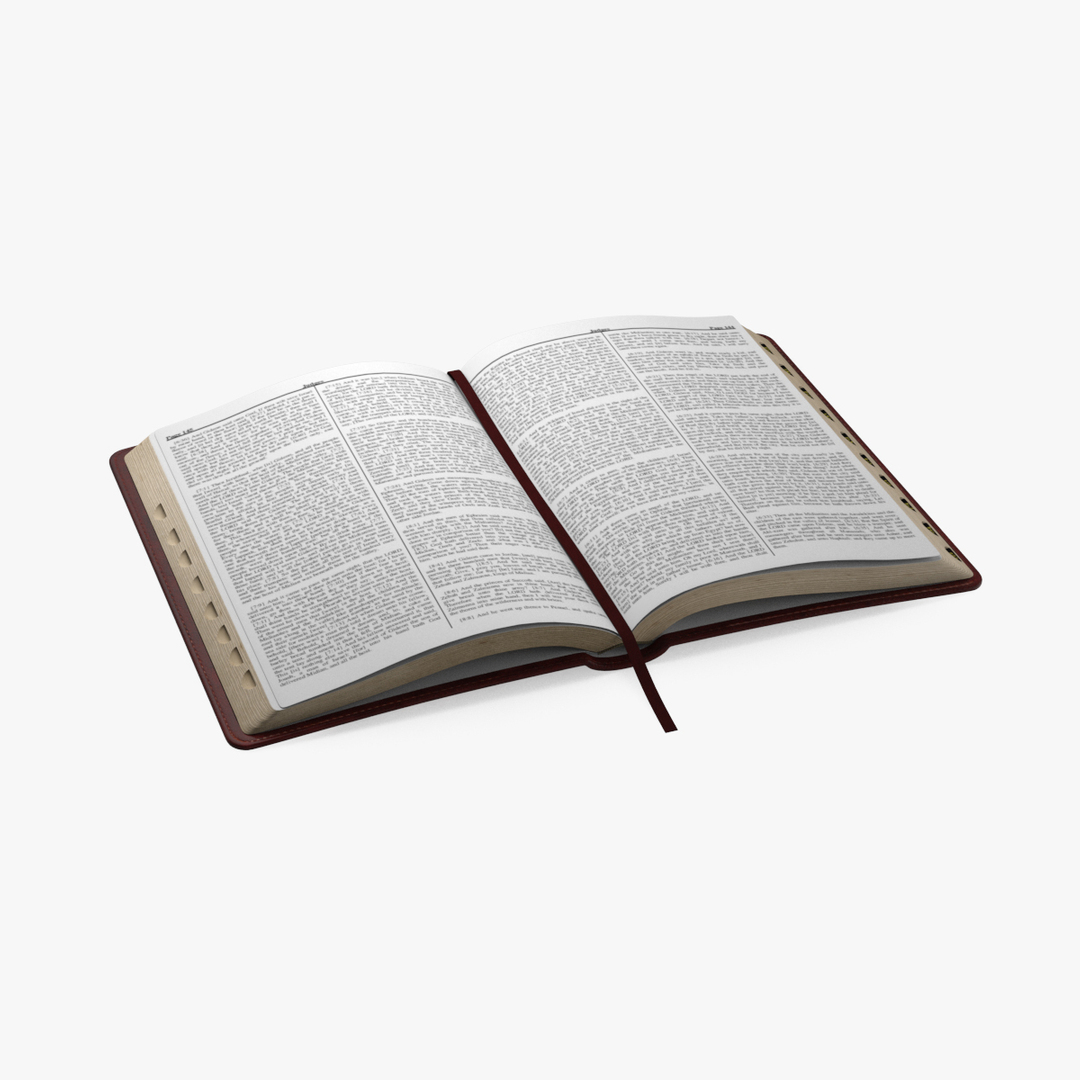 open holy bible