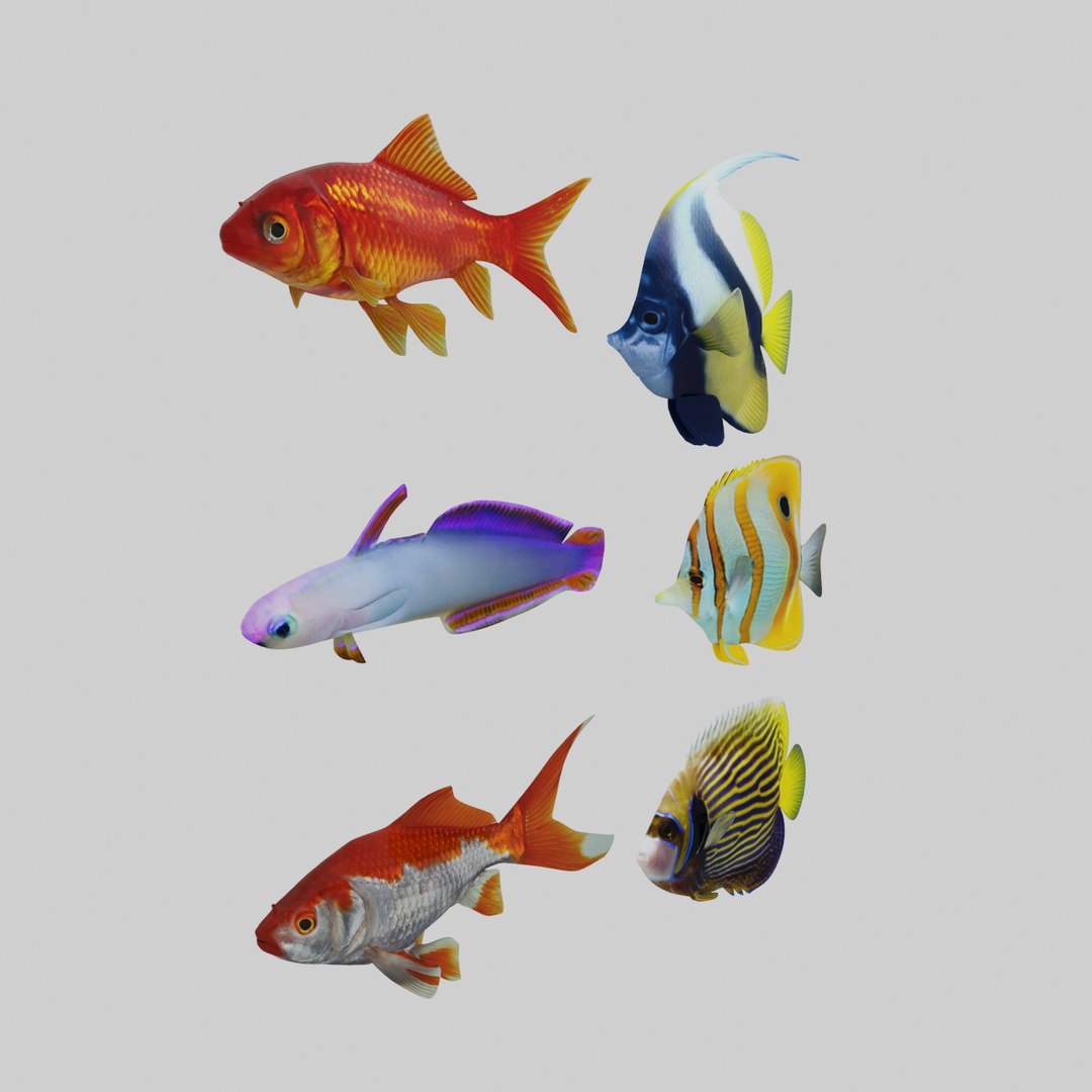 3D Model Aquarium Fish Box - TurboSquid 1253812