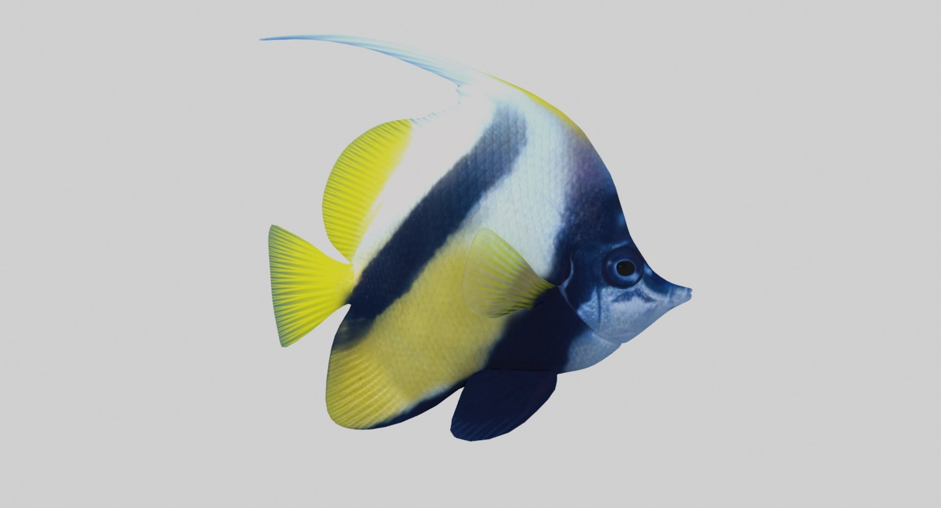 3D model aquarium fish box https://p.turbosquid.com/ts-thumb/iv/bemfyh/POtWEsGJ/1/jpg/1517685063/1920x1080/fit_q87/cd710b1cd31c02956f858ef88bee78b2450c0f02/1.jpg