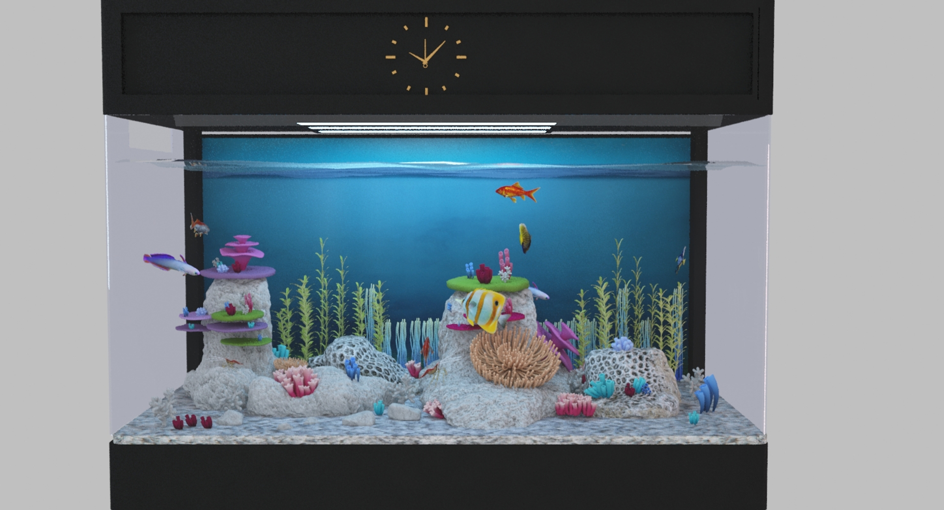 3D Model Aquarium Fish Box - TurboSquid 1253812