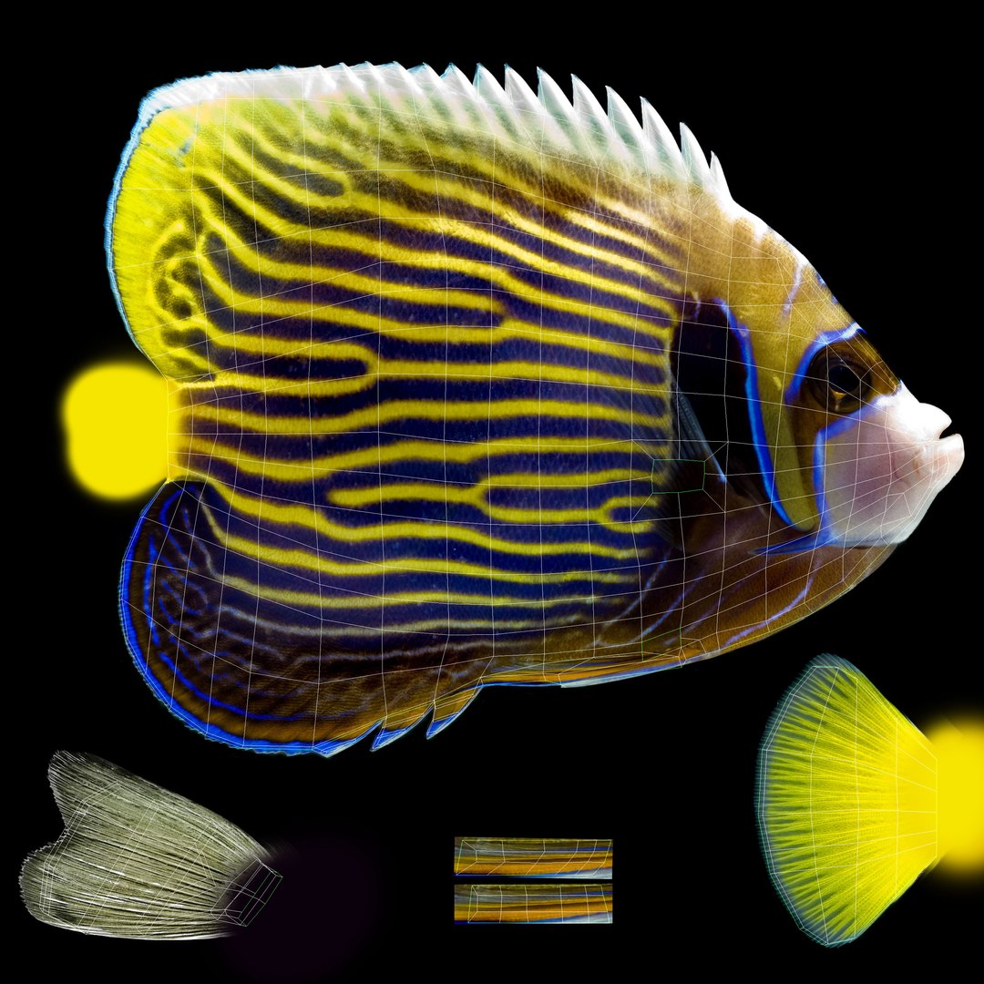 3D model aquarium fish box https://p.turbosquid.com/ts-thumb/iv/bemfyh/cNQ4TyOM/qw/jpg/1517689235/1920x1080/fit_q87/6e0a10c8686c44ade4476776f709d496c8864221/qw.jpg