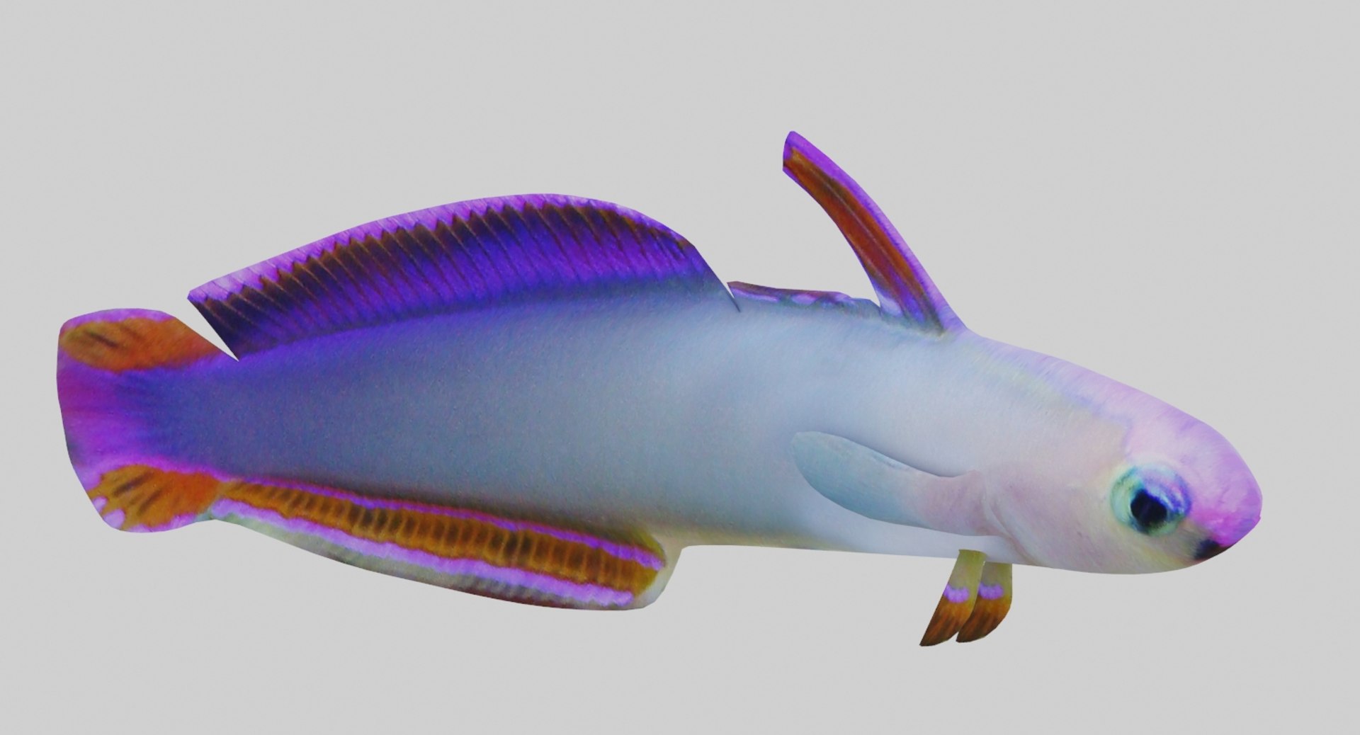 3D model aquarium fish box https://p.turbosquid.com/ts-thumb/iv/bemfyh/ebgObDVW/6/jpg/1517685063/1920x1080/fit_q87/0927505952170d278de52ecdbff483faf1552cc0/6.jpg