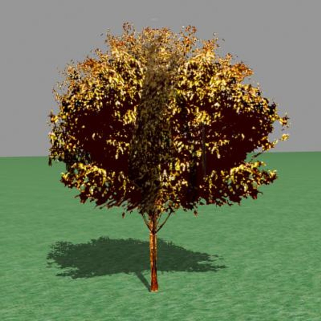 Autumn Trees 3d Model
