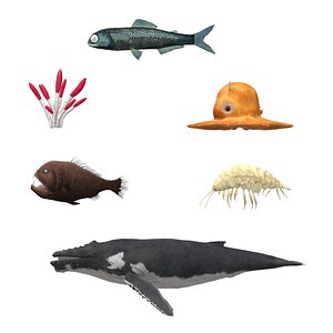 Create an ocean scene 3D