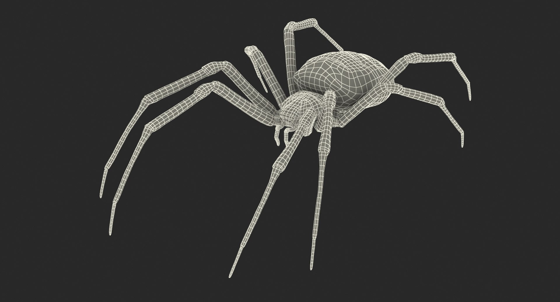 3D model Rigged Creeping Insects Collection 3 for Maya https://p.turbosquid.com/ts-thumb/iv/kprRms/0A/riggedcreepinginsectscollection3mb3dmodel104/jpg/1649709943/1920x1080/fit_q87/d6f83ac30de89924b919997154be1e7f999618de/riggedcreepinginsectscollection3mb3dmodel104.jpg