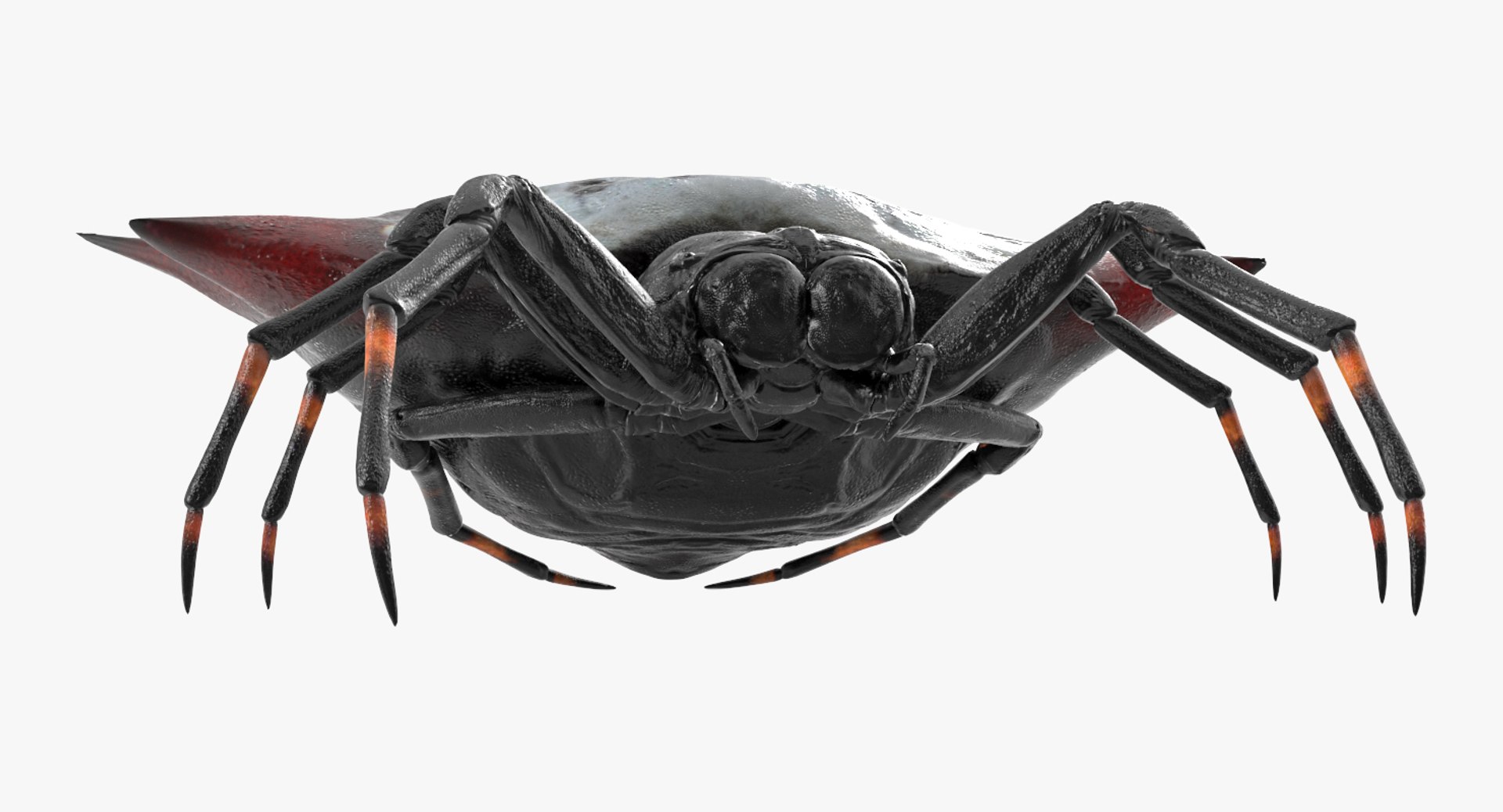 3D model Rigged Creeping Insects Collection 3 for Maya https://p.turbosquid.com/ts-thumb/iv/kprRms/3y/riggedcreepinginsectscollection3mb3dmodel072/jpg/1649709848/1920x1080/fit_q87/4030712abd70912b3559cf547ebb333acc370885/riggedcreepinginsectscollection3mb3dmodel072.jpg