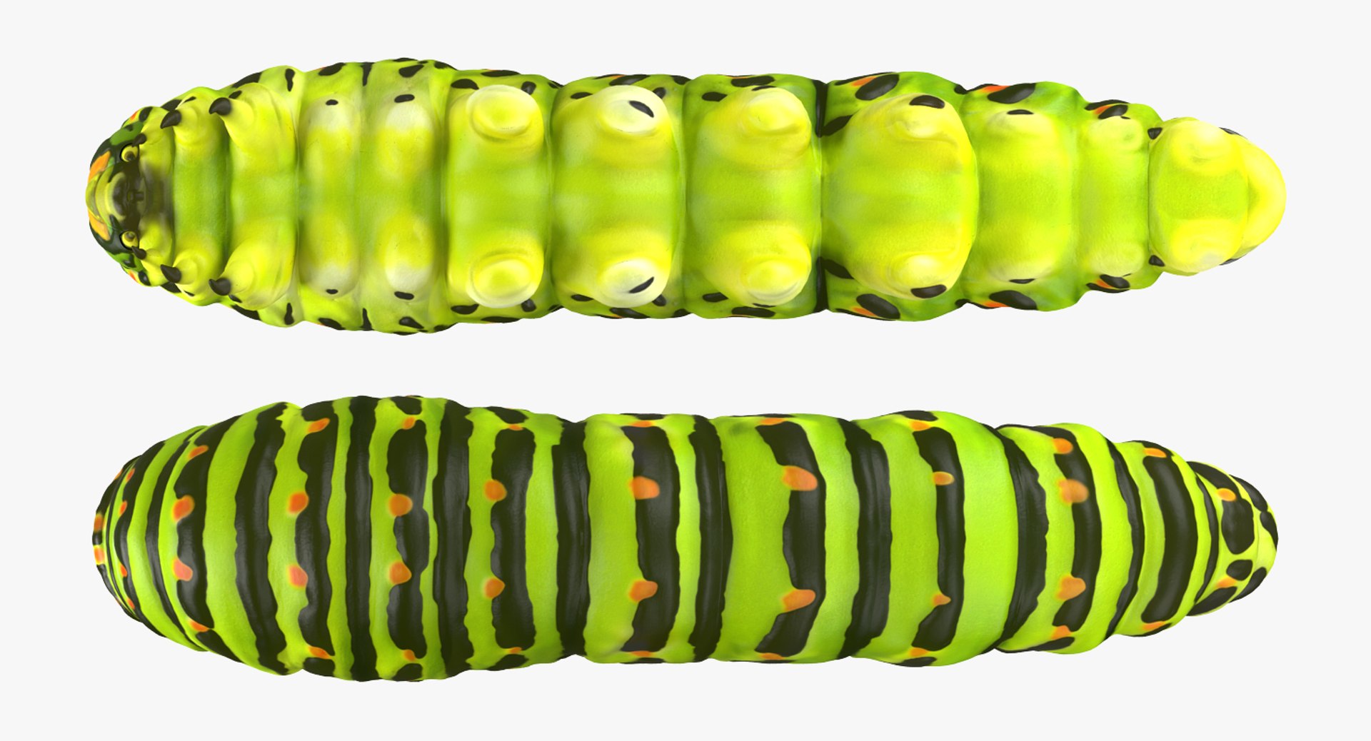 3D model Rigged Creeping Insects Collection 3 for Maya https://p.turbosquid.com/ts-thumb/iv/kprRms/4V/riggedcreepinginsectscollection3mb3dmodel086/jpg/1649709887/1920x1080/fit_q87/c2fffa2d5aa7586d394d7e093fec0b4e203df2aa/riggedcreepinginsectscollection3mb3dmodel086.jpg