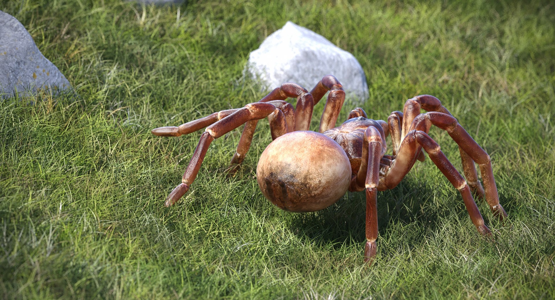 3D model Rigged Creeping Insects Collection 3 for Maya https://p.turbosquid.com/ts-thumb/iv/kprRms/5N/riggedcreepinginsectscollection3mb3dmodel042/jpg/1649709757/1920x1080/fit_q87/6c297e32363453ccf80be8490d142a40ab0bc005/riggedcreepinginsectscollection3mb3dmodel042.jpg
