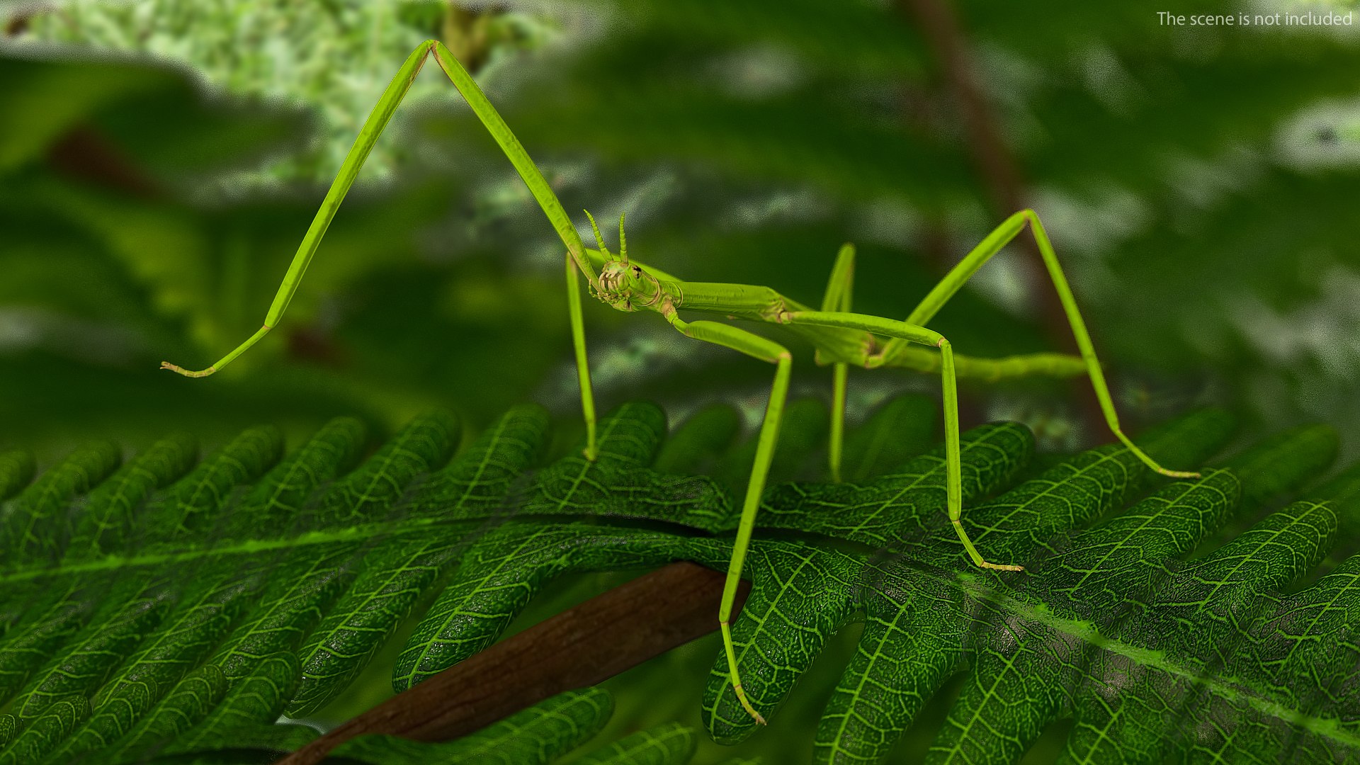 3D model Rigged Creeping Insects Collection 3 for Maya https://p.turbosquid.com/ts-thumb/iv/kprRms/9m/riggedcreepinginsectscollection3mb3dmodel030/jpg/1649709720/1920x1080/fit_q87/cf781594ac19428994af9d74afa0ce552a6afd40/riggedcreepinginsectscollection3mb3dmodel030.jpg