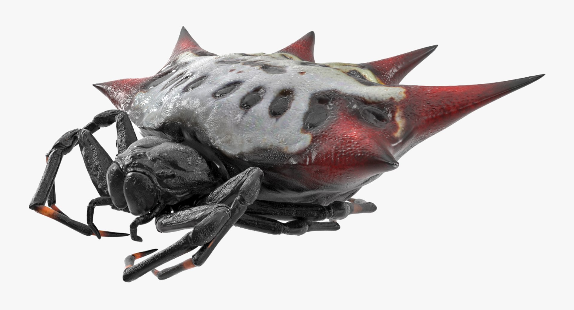 3D model Rigged Creeping Insects Collection 3 for Maya https://p.turbosquid.com/ts-thumb/iv/kprRms/Hh/riggedcreepinginsectscollection3mb3dmodel073/jpg/1649709850/1920x1080/fit_q87/077cf132689b34a6582f2fafdd376f35046df807/riggedcreepinginsectscollection3mb3dmodel073.jpg