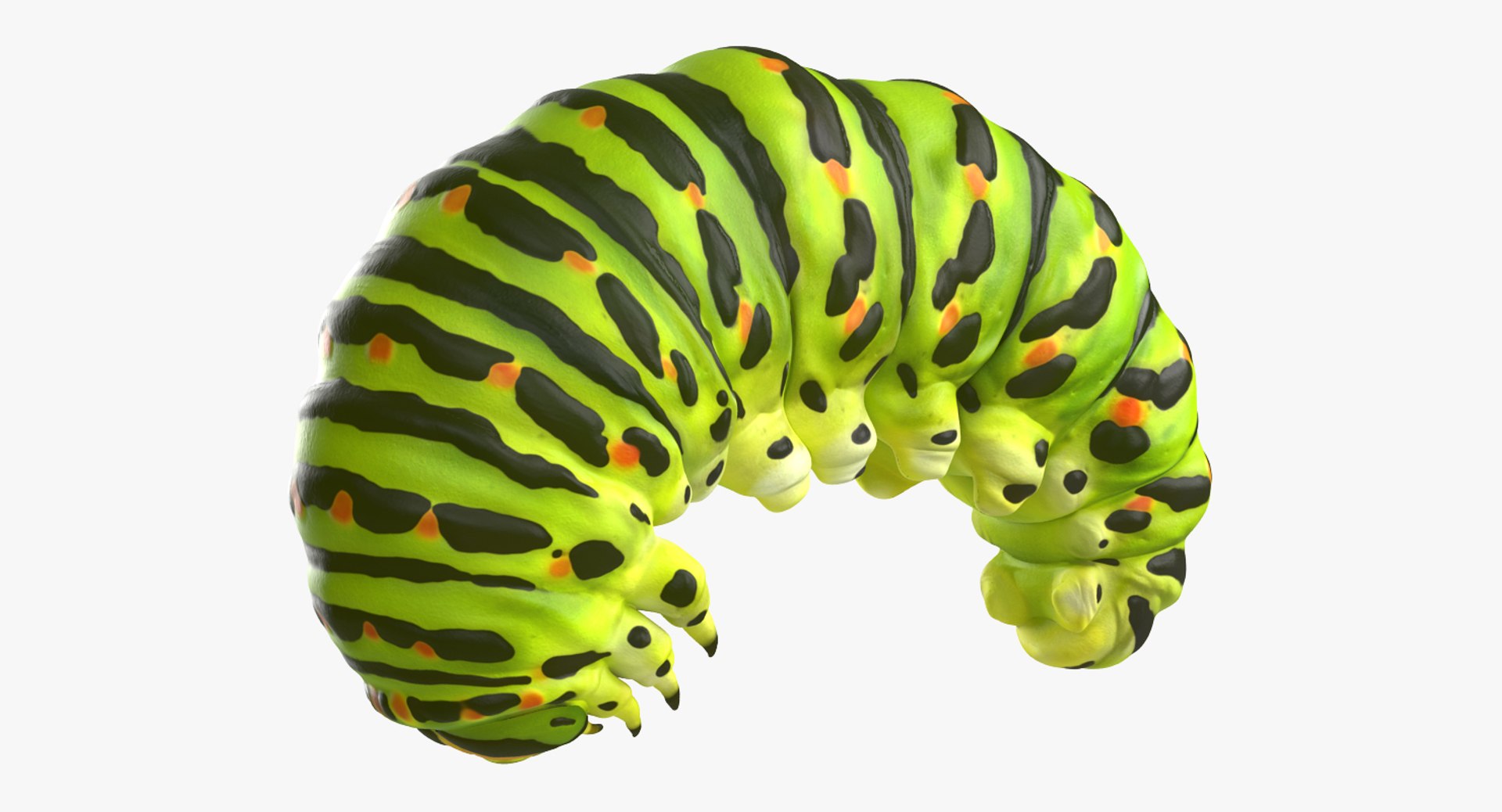 3D model Rigged Creeping Insects Collection 3 for Maya https://p.turbosquid.com/ts-thumb/iv/kprRms/Na/riggedcreepinginsectscollection3mb3dmodel083/jpg/1649709880/1920x1080/fit_q87/f65fc41dbda94893e2d2a57eb32f31a35113de99/riggedcreepinginsectscollection3mb3dmodel083.jpg