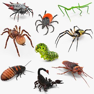 3D model Rigged Creeping Insects Collection 3 for Maya
