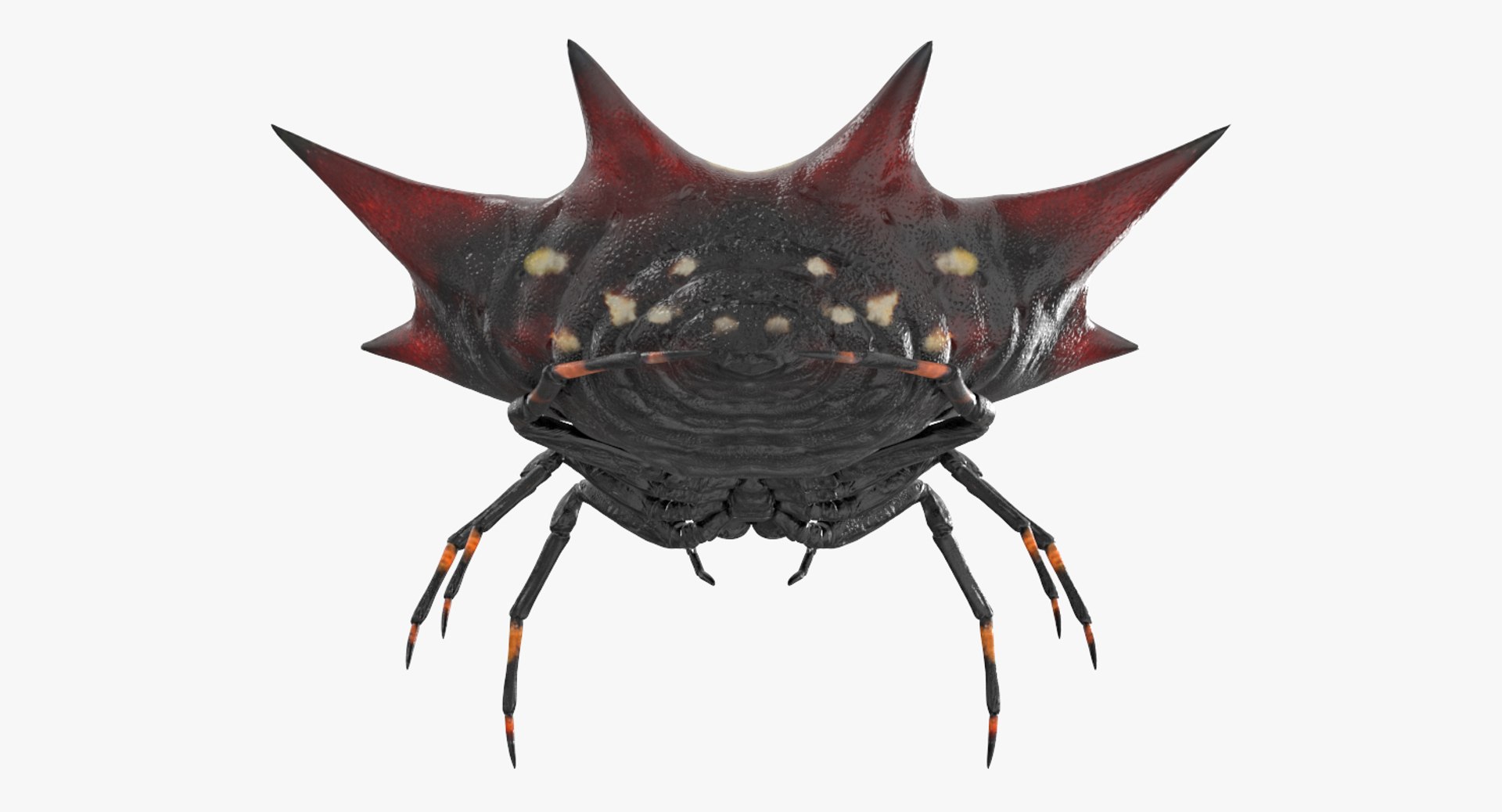3D model Rigged Creeping Insects Collection 3 for Maya https://p.turbosquid.com/ts-thumb/iv/kprRms/tN/riggedcreepinginsectscollection3mb3dmodel077/jpg/1649709862/1920x1080/fit_q87/14cf54b45905ea2b63518f616a338926a58d31e8/riggedcreepinginsectscollection3mb3dmodel077.jpg