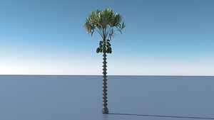 palm tree 3D model
