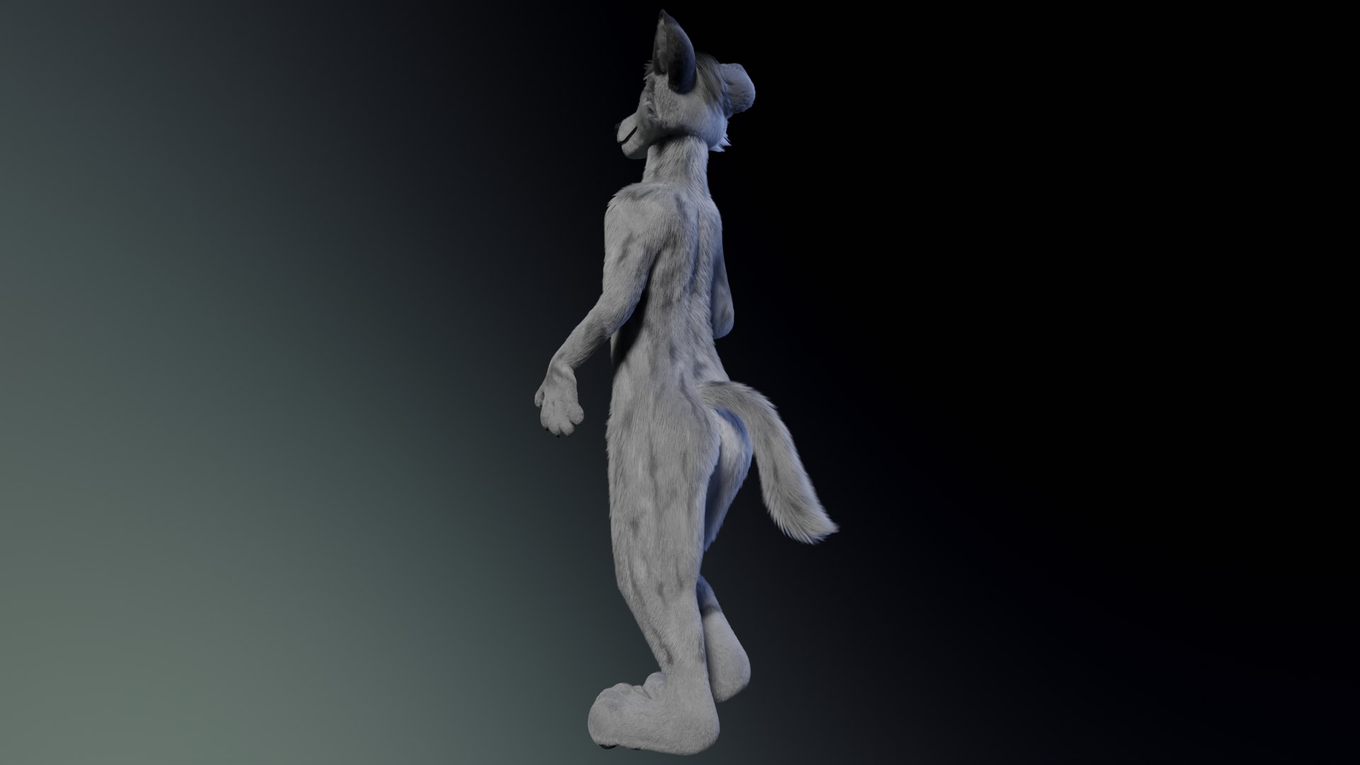 3D Richard Anthro Wolf model https://p.turbosquid.com/ts-thumb/iv/w3y9E5/GI/c1/png/1643746801/1920x1080/fit_q87/1dd1a2f14ef6967c95069acbb2f969790e6494d7/c1.jpg