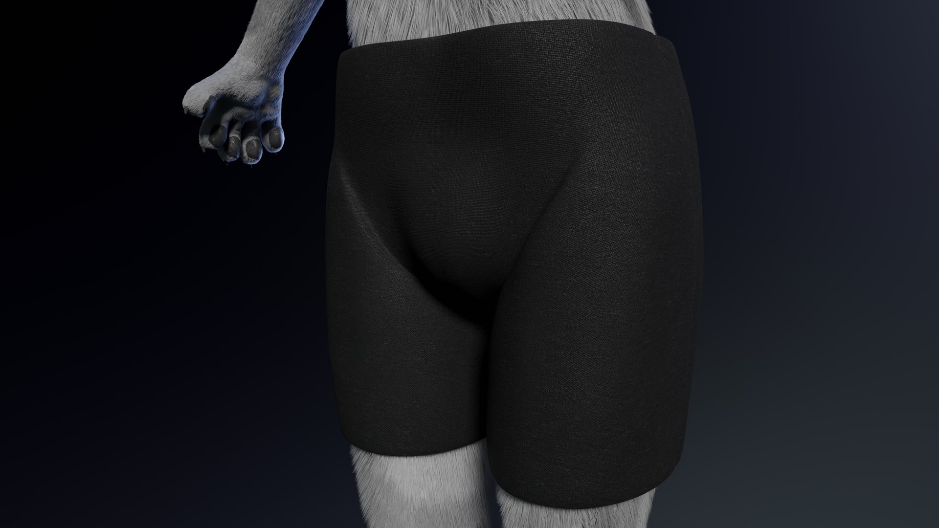 3D Richard Anthro Wolf model https://p.turbosquid.com/ts-thumb/iv/w3y9E5/nJ/c7/png/1643746807/1920x1080/fit_q87/39b42df15db2f4672ac4adb8b0ab53c3d6af7acd/c7.jpg