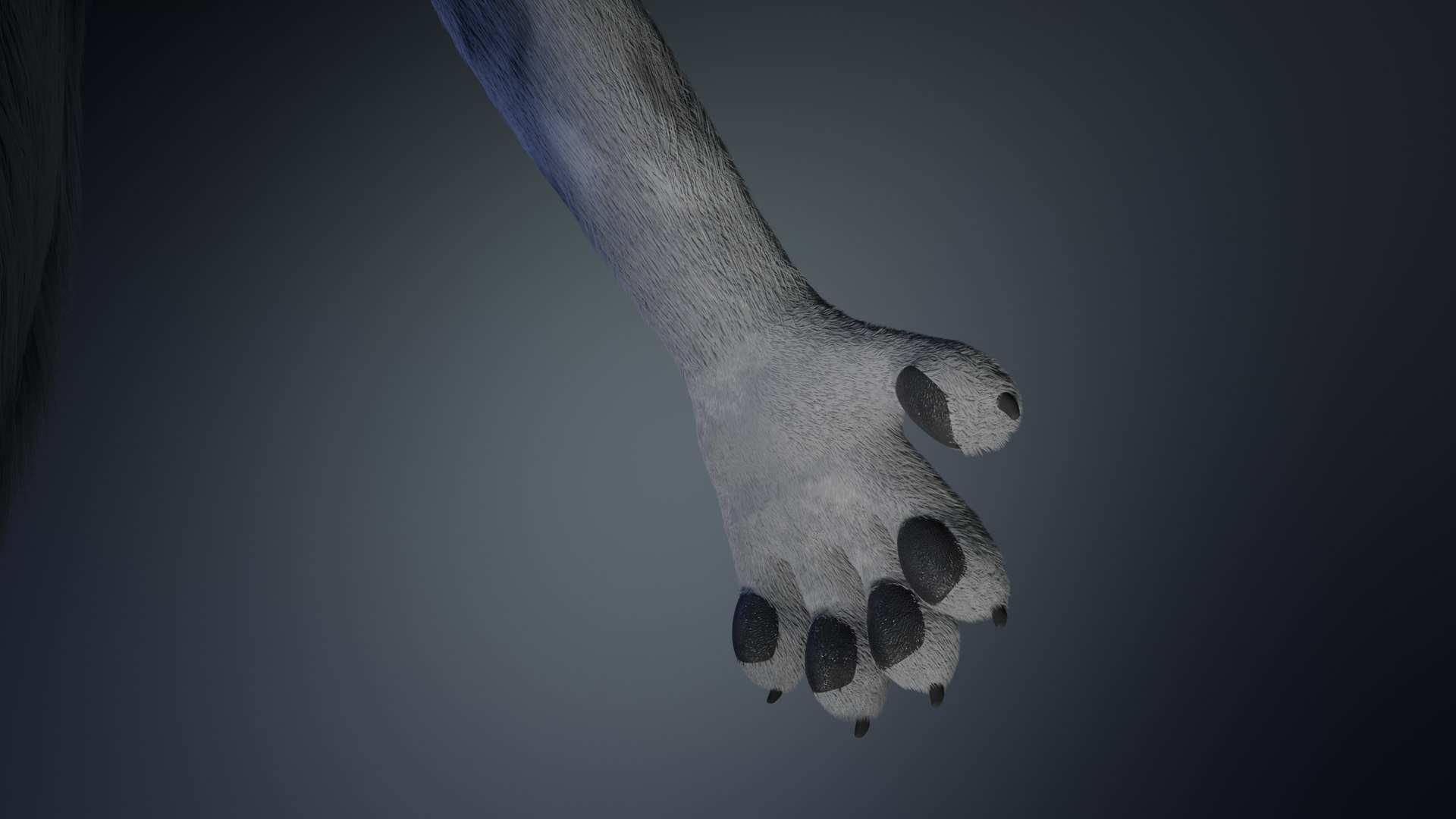 3D Richard Anthro Wolf model https://p.turbosquid.com/ts-thumb/iv/w3y9E5/zM/a9/png/1643746805/1920x1080/fit_q87/3bab9487b6326fb02e42adf1ec1d5d7718a1efe9/a9.jpg