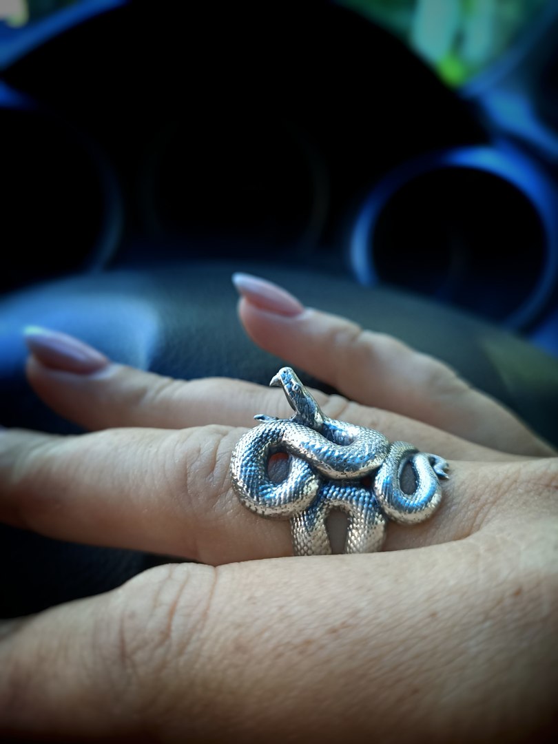 3D Serpent ring with open mouth https://p.turbosquid.com/ts-thumb/iw/4AMlR7/48/snakering3dmodelobjstl16/jpg/1667391591/1920x1080/fit_q87/fc859ad3c90148d9ace6f86ae675feb015535f91/snakering3dmodelobjstl16.jpg