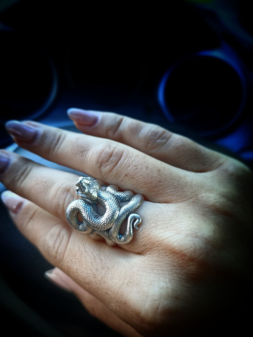 3D Serpent ring with open mouth https://p.turbosquid.com/ts-thumb/iw/4AMlR7/HA/snakering3dmodelobjstl17/jpg/1667391591/1920x1080/fit_q87/f455b1fd610af1d3c8a8fa99492e1be22202768c/snakering3dmodelobjstl17.jpg