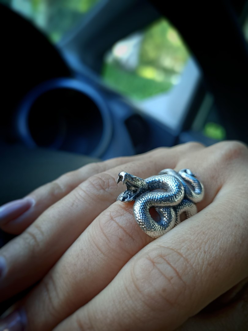 3D Serpent ring with open mouth https://p.turbosquid.com/ts-thumb/iw/4AMlR7/SE/snakering3dmodelobjstl/jpg/1667391592/1920x1080/fit_q87/91f7f76e226240871abfad868e51a0876d02c80a/snakering3dmodelobjstl.jpg