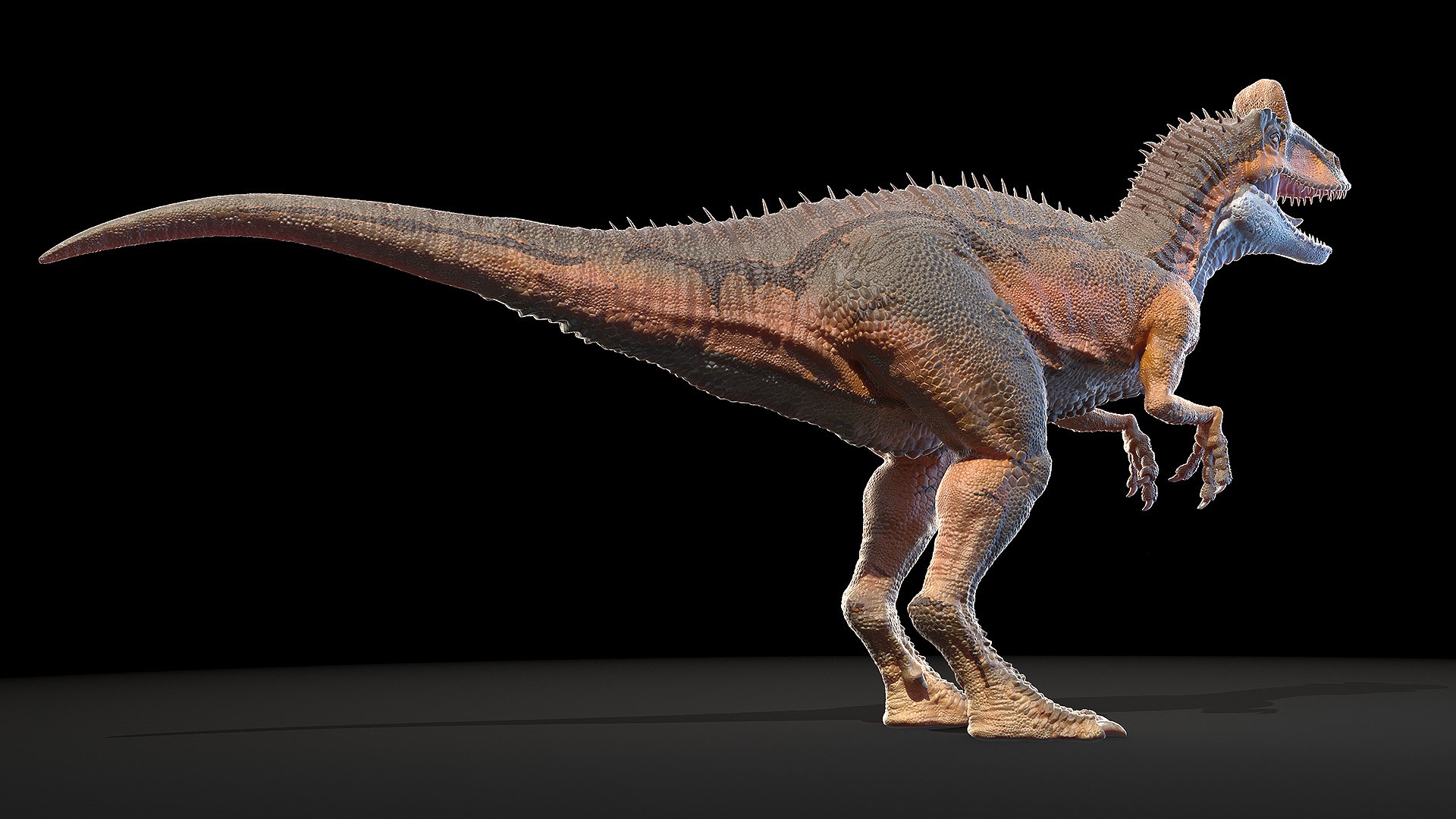 Cryolophosaurus Cryolophosauro Model - TurboSquid 1590950