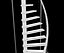 spiral internal staircase modern