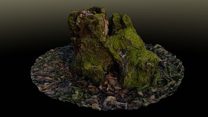3D model Stump in moss