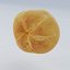 3D bread rolls model