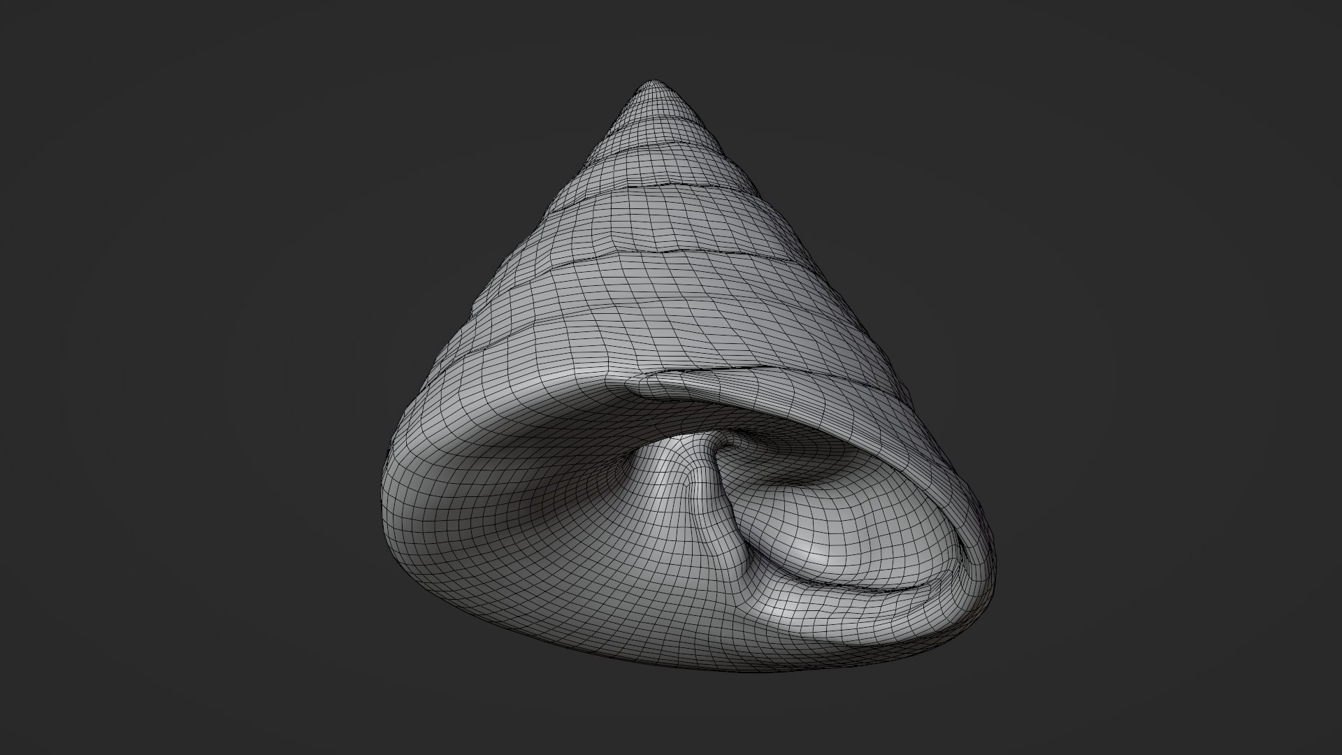 Conical Seashell Shell - 3D Scanned 3D model https://p.turbosquid.com/ts-thumb/iw/OHIBGR/La/conicalpearl_d0009/png/1783966173/1920x1080/fit_q87/b475e6ecc5973bd43d77acfd36c6538324b5426d/conicalpearl_d0009.jpg