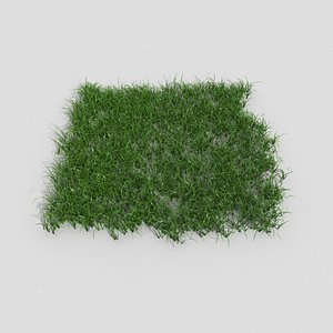 grass realistic plant 3d model
