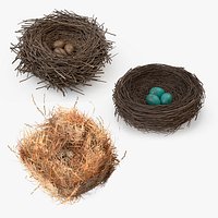 Bird Nests Collection 2