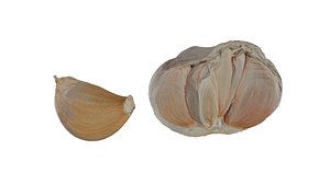 garlic pieces 3D model