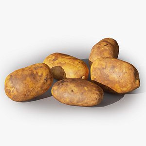 Freshly cut farm potatoes 3D model