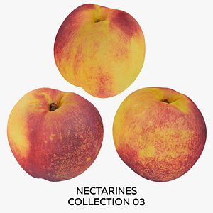 Nectarines Collection 03 - 3 models RAW Scans 3D
