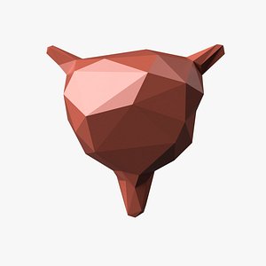 Stylized Low Poly Bladder