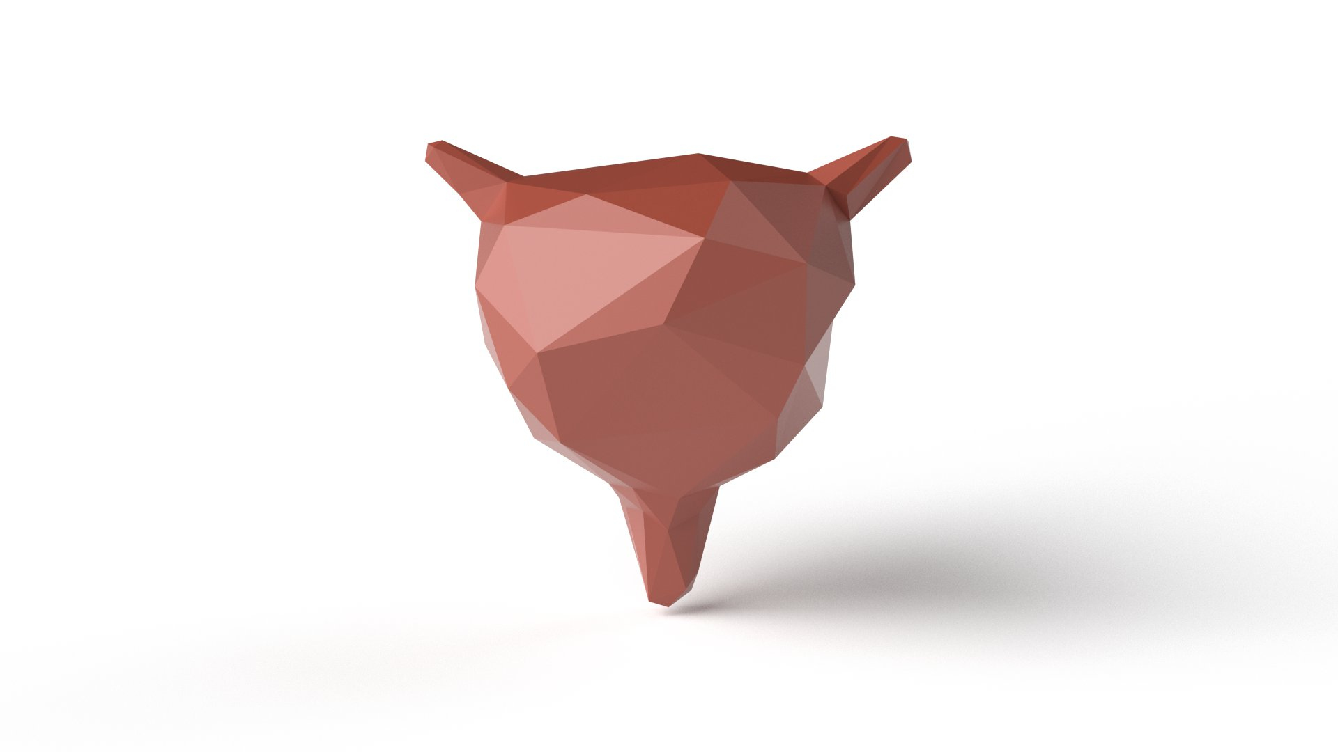 Stylized Low Poly Bladder Model - TurboSquid 1851854