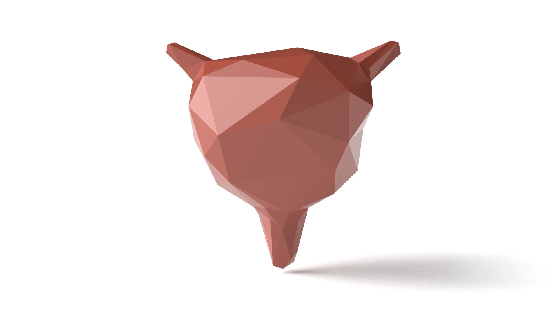Stylized Low Poly Bladder Model - TurboSquid 1851854