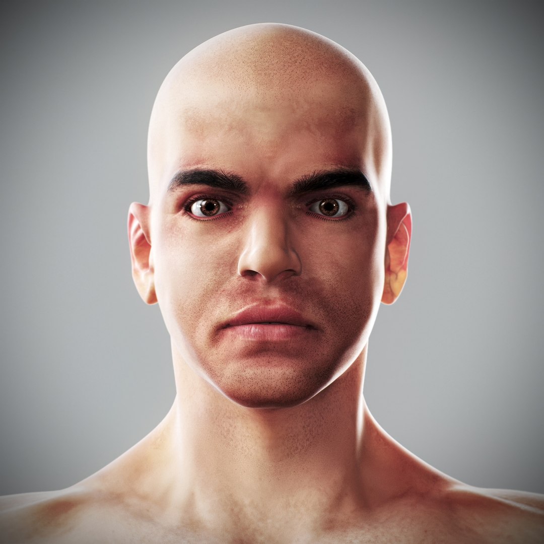 3d https://p.turbosquid.com/ts-thumb/ix/DEmZHd/0y/humanmaleandfemalecompleteanatomy08/jpg/1748534750/1920x1080/fit_q87/6a48e7dd814c789883222a1b666fe5fbf3615489/humanmaleandfemalecompleteanatomy08.jpg