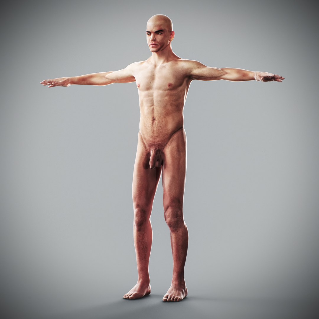 3d https://p.turbosquid.com/ts-thumb/ix/DEmZHd/7N/humanmaleandfemalecompleteanatomy44/jpg/1748534768/1920x1080/fit_q87/83edc1776057552178e824095827463dfc7be854/humanmaleandfemalecompleteanatomy44.jpg