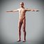 Human Male  Female Complete Anatomy