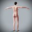 Human Male  Female Complete Anatomy